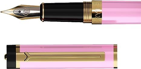 Dryden Designs Fountain Pen Medium Nib Gift Pouch - with 24 Ink Cartridges - MCM (Luscious Pink)