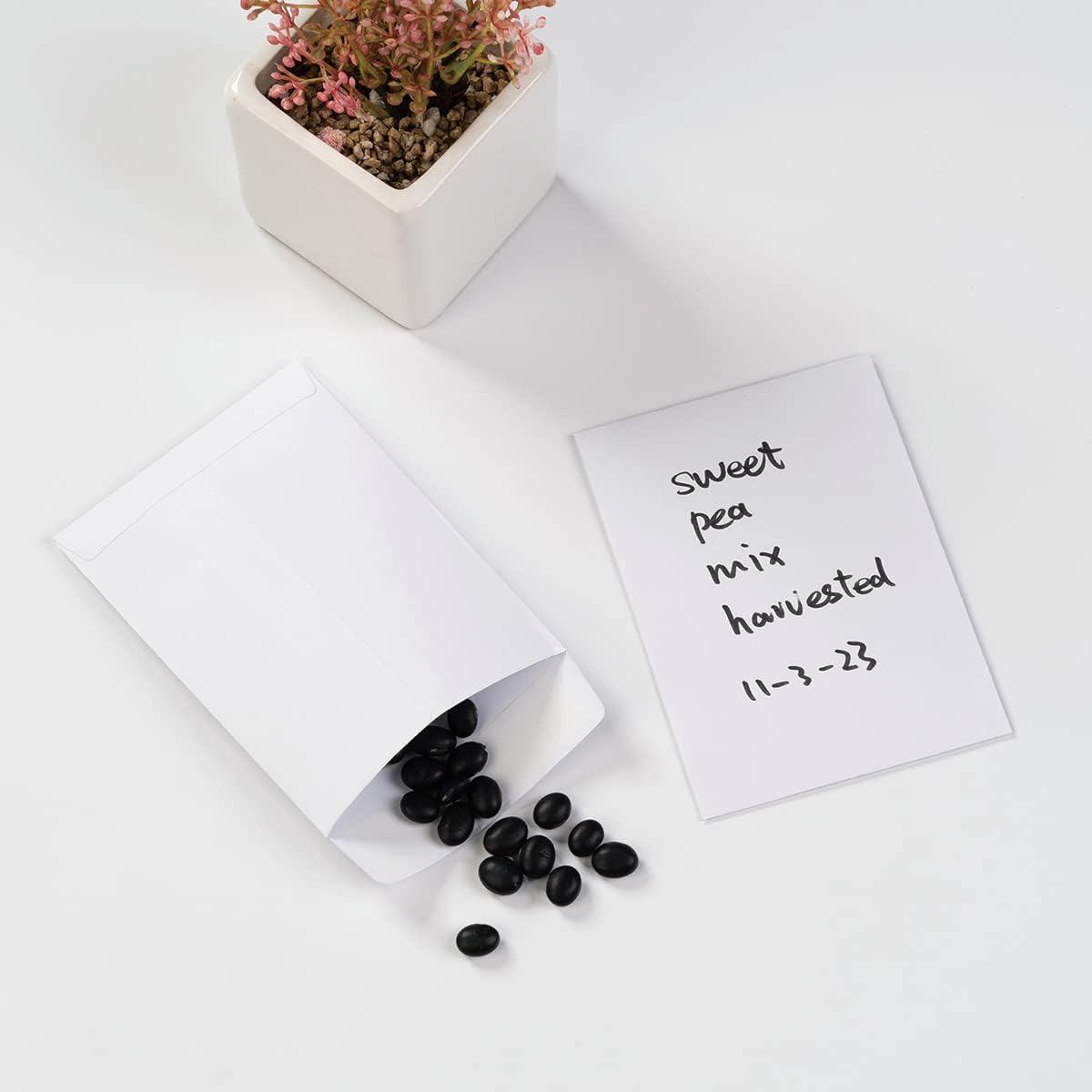 100 Pack Seed Envelopes Self-Adhesive Small Coin Envelopes Seed Storage Packets for Garden, Office or Wedding Gift (White, 3 1/4 ×4 1/2 inches)