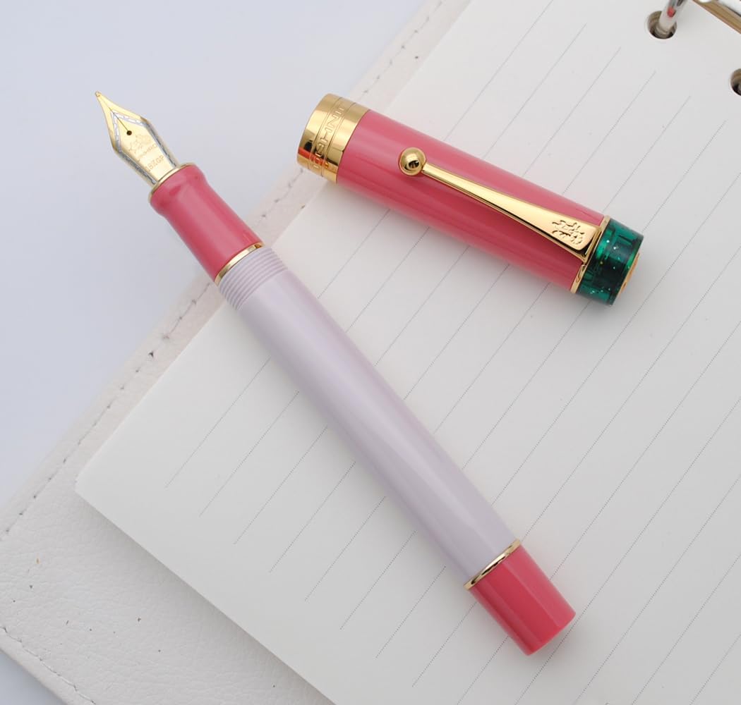 JINHAO 100 Fountain Pen with Ink Converter (Medium Nib 0.7mm, Guava)