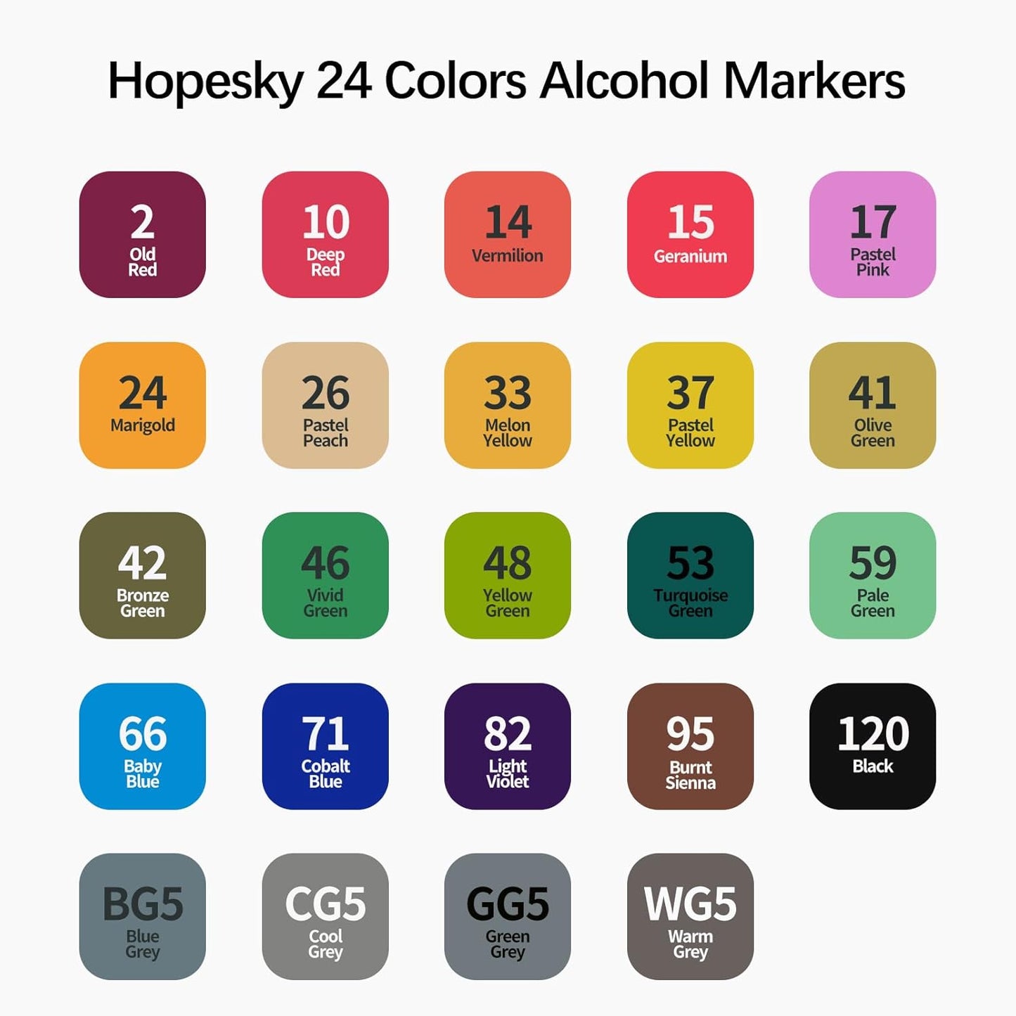 24 Colors Alcohol Markers - Dual Tip Permanent Art Markers Set for Coloring Drawing Painting, Fine and Chisel Tip Alcohol Based Pens with Storage Case for Adult Artists