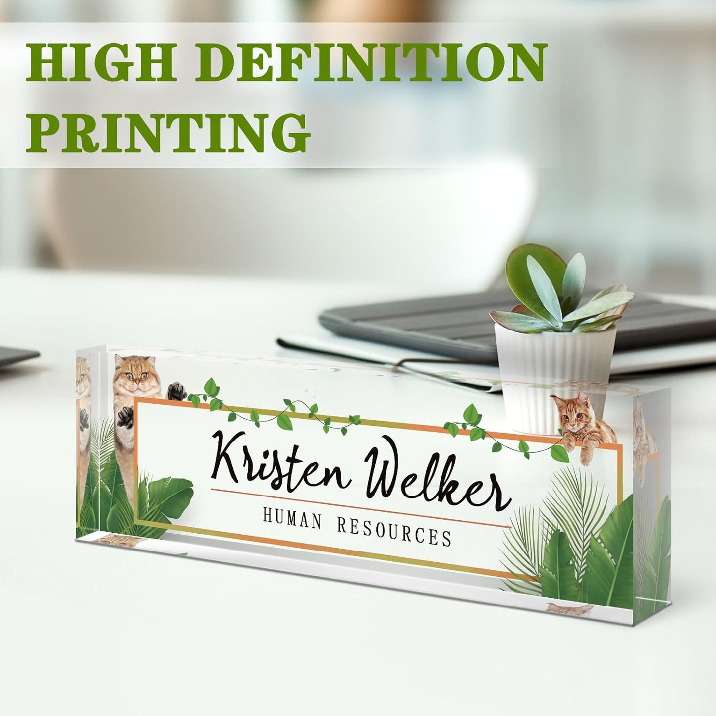 Gowellly Office Desk Name Plate Personalized - Custom Acrylic Name Plates for Desk - Employee Appreciation Gifts - Office Gifts for Teacher,Boss,Nurse,Lawyer,Women Office (Pet-cat-1)