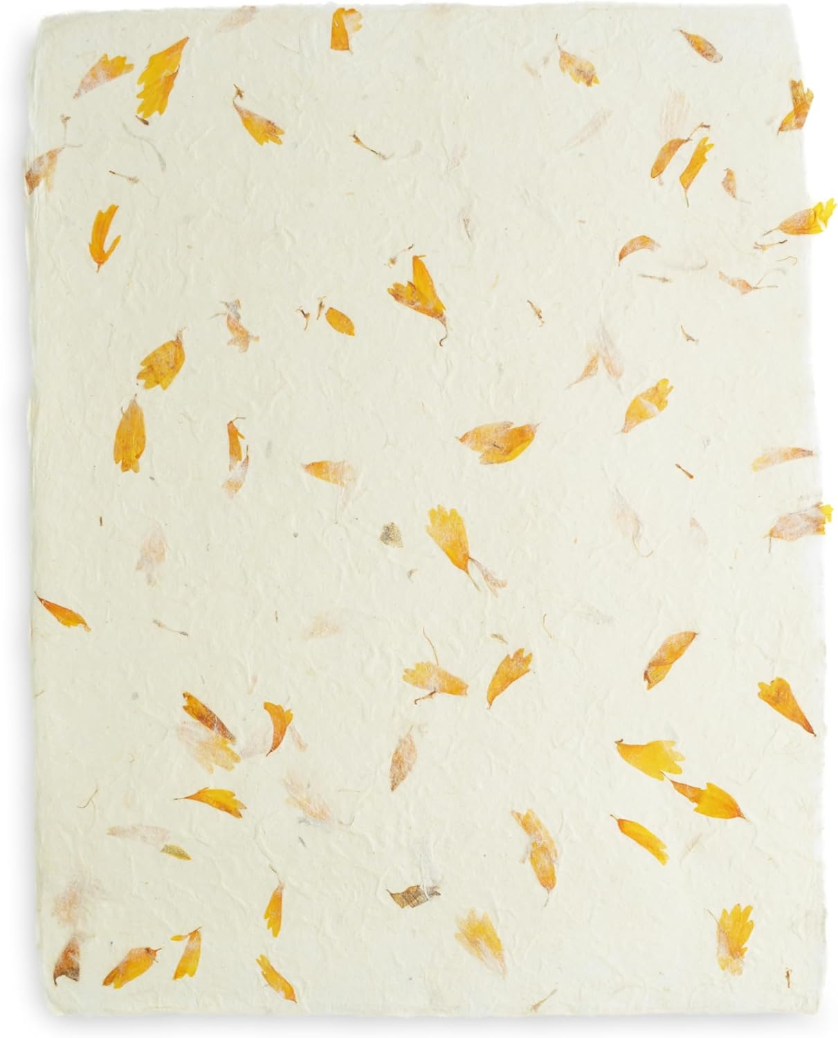Handmade Lokta Laser and Inkjet Printer Paper with Deckle Edge 8.5x11 Inch Vintage Decorative Specialty Printing Paper (25 Sheets, Marigold)