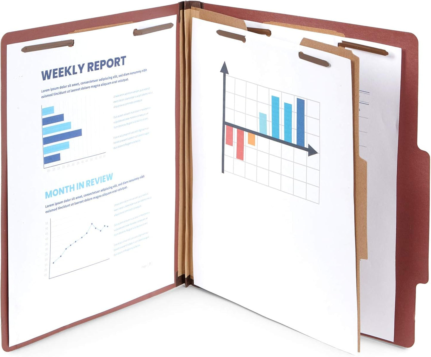 10 Letter Size Red Classification Folders - 1 Divider - 2 Inch Tyvek Expansions - Durable 2 Prongs Designed to Organize Standard Medical Files, Office Reports - Letter Size, Red Brick Color, 10 Pack