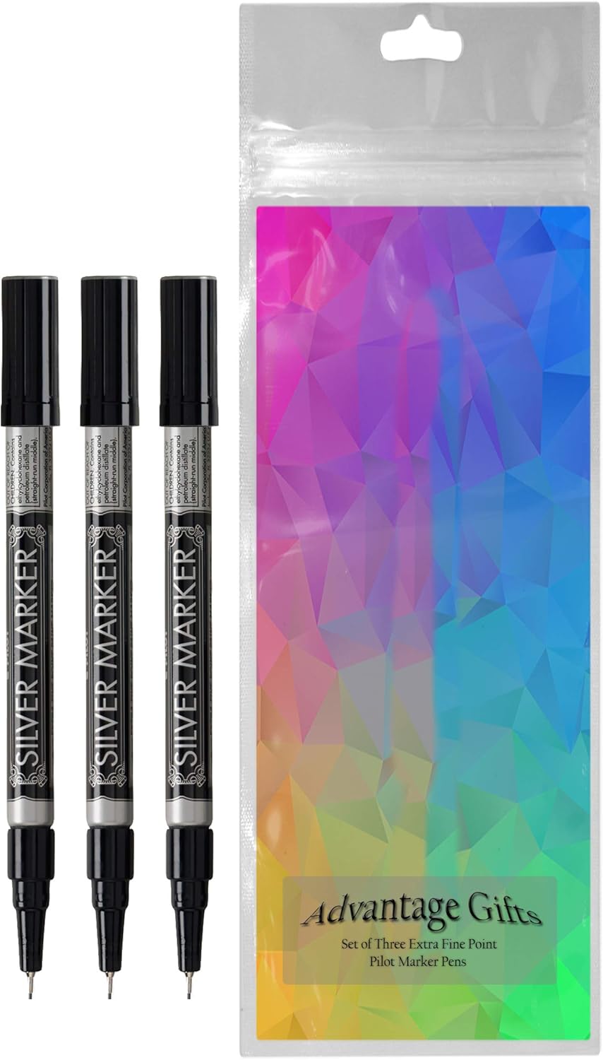 Metallic Permanent Paint Markers, Silver, Extra Fine Point (0.5mm), 3 Count, Bundle with Plastic Reusable Pouch