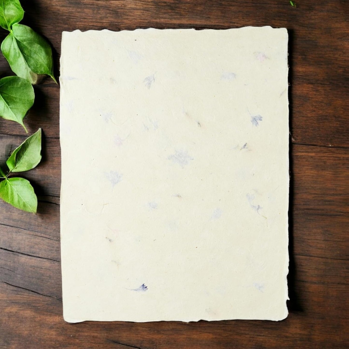 Handmade Lokta Laser and Inkjet Printer Paper with Deckle Edge 8.5x11 Inch Vintage Decorative Specialty Printing Paper (25 Sheets, Cornflower)