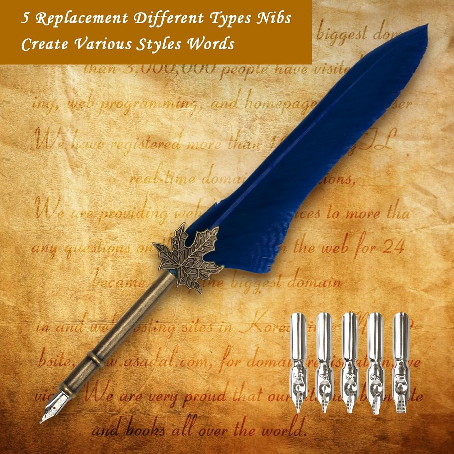 AHIER Quill Pen and Ink Set, Feather Pen Quill Pen Set Includes 5 Steel Replacement Nibs,Pen Nib Base and Dip Ink Bottle for Antique Calligraphy (Blue)