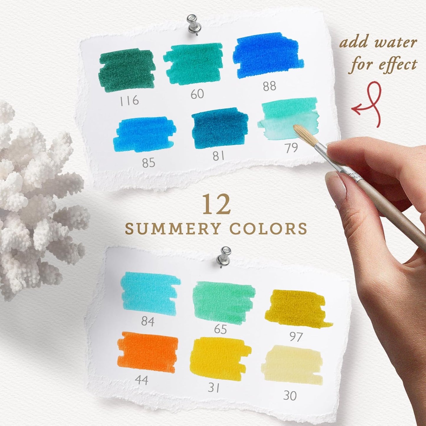 Primrosia 12 Dual Tip Watercolor Marker Pens - Fine Tip & Brush Tips, Professional Quality, 4 x Sticker Sheets, Blendable, Non-Toxic, Perfect for Calligraphy, Drawing & Coloring. (Coastal)